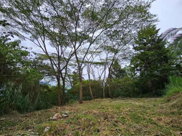 Lote urbano independiente en Envigado Alto, sector Santa Catalina