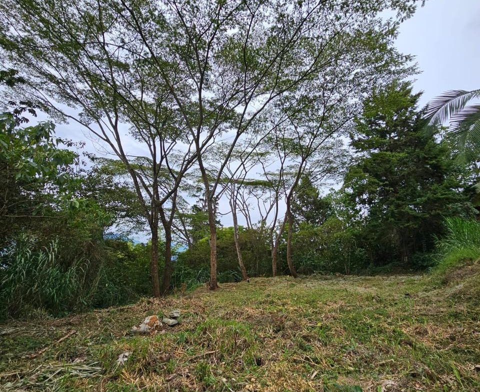 Lote urbano independiente en Envigado Alto, sector Santa Catalina